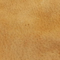 Stirrup Camel Suede 001.05 スティラップ キャメル スエード 001.05 