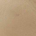 Scarlett Beige Leather 282299 F011117359スカーレット ベージュ レザー 282299 F011117359