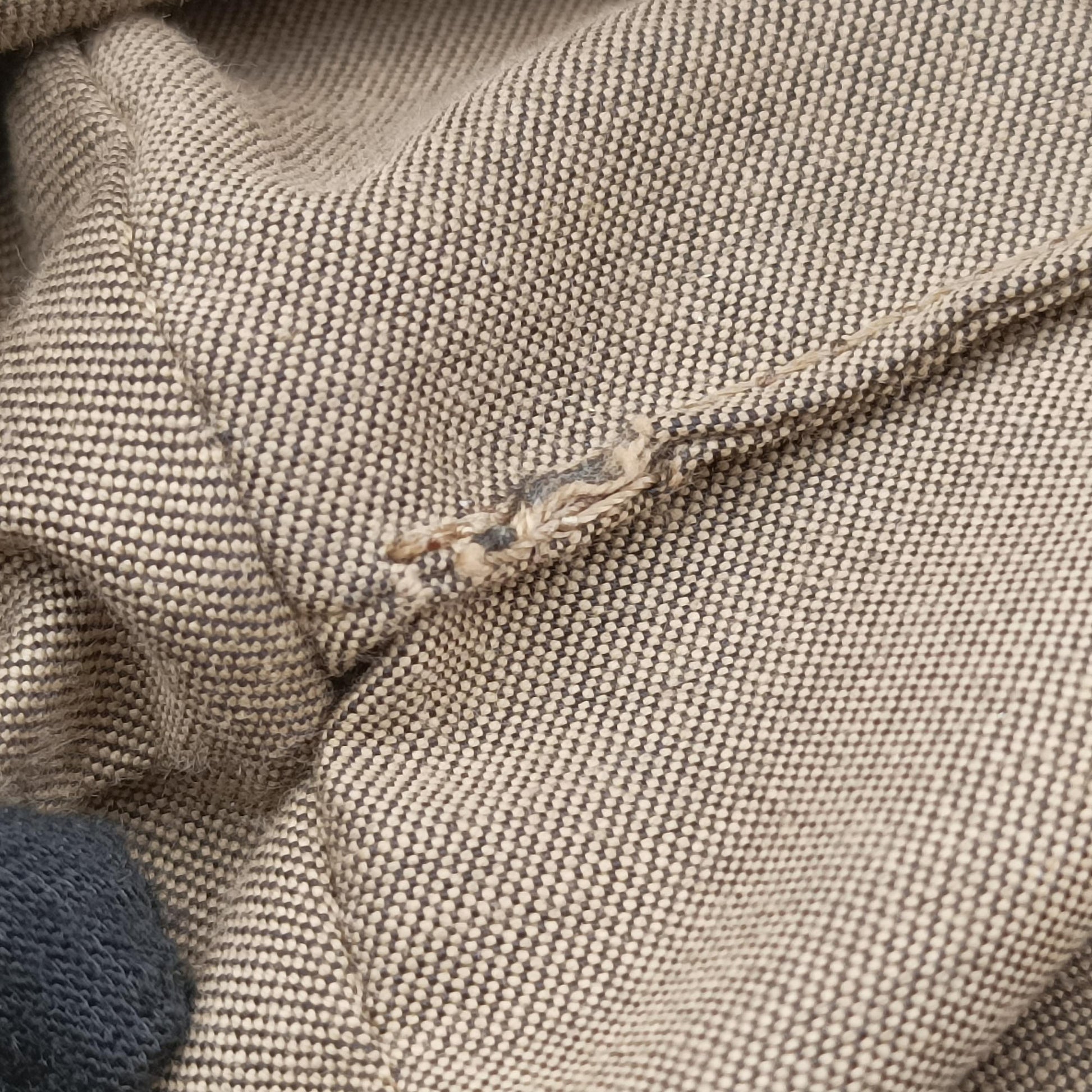 Zucchino Brown×Multicolour canvas 8BH214 8BH214-FCF 118-2111ズッキーノ柄 ブラウン×マルチカラー キャンバス 8BH214 8BH214-FCF 118-2111