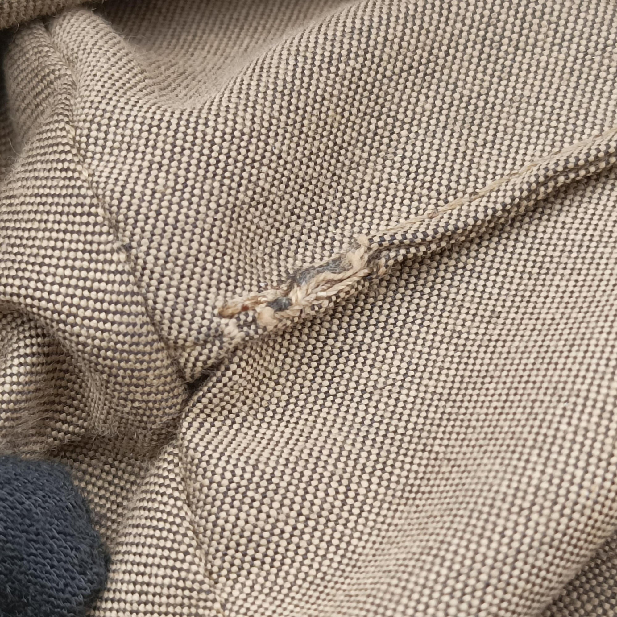 Zucchino Brown×Multicolour canvas 8BH214 8BH214-FCF 118-2111ズッキーノ柄 ブラウン×マルチカラー キャンバス 8BH214 8BH214-FCF 118-2111