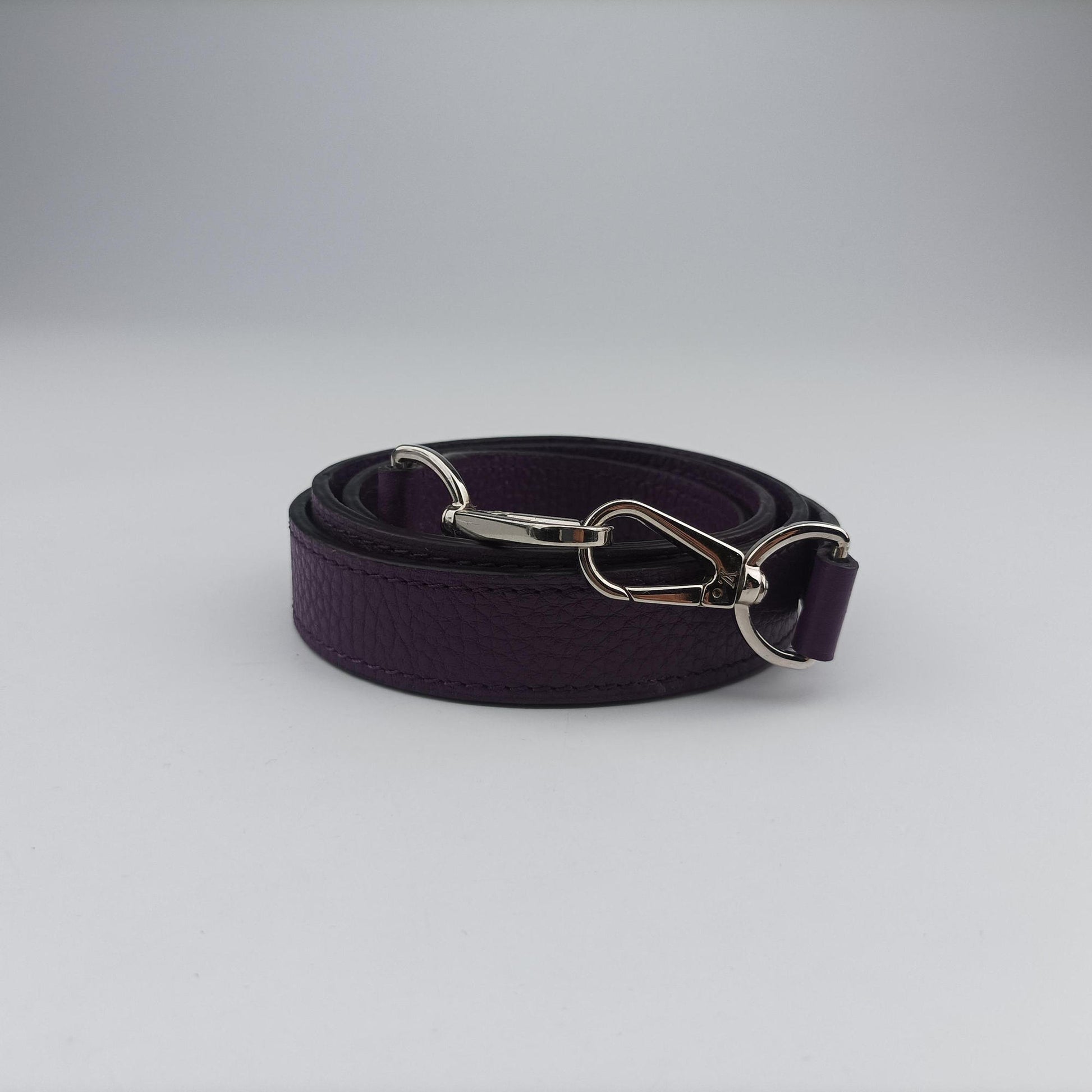 Parnassea Alma PM Violet Taurillon Leather M48881 AR2153パルナセア アルマ PM ヴァイオレット トリヨンレザー M48881 AR2153
