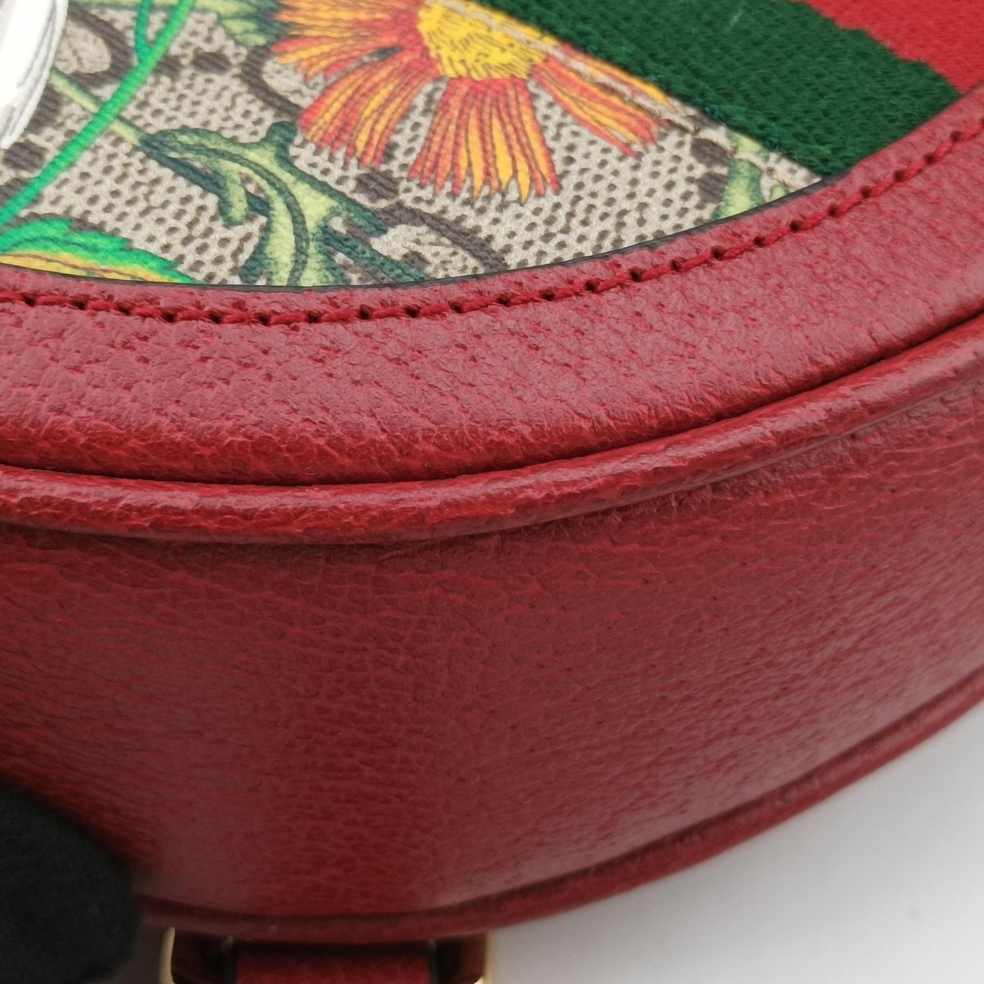 Ophidia Multicolour PVC coated canvas×Leather 598661 オフィディア マルチカラー PVCコーティングキャンバス×レザー 598661 