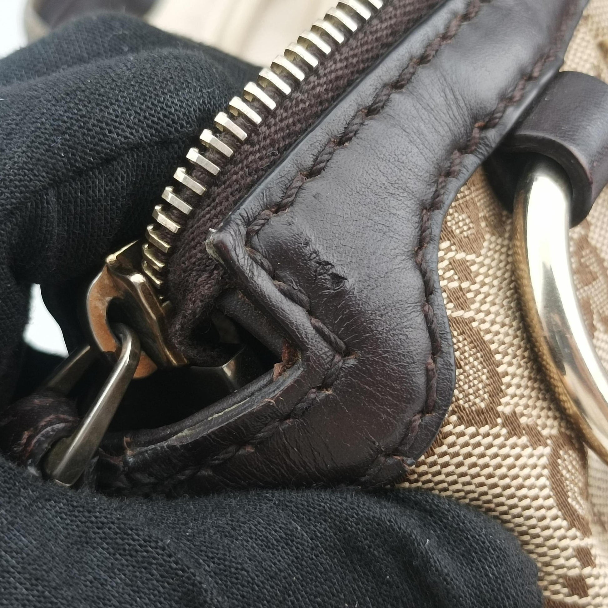 Sukey Beige × Dark Brown canvas×leather 247902 C013416463スーキー ベージュ×ダークブラウン キャンバス×レザー 247902 C013416463