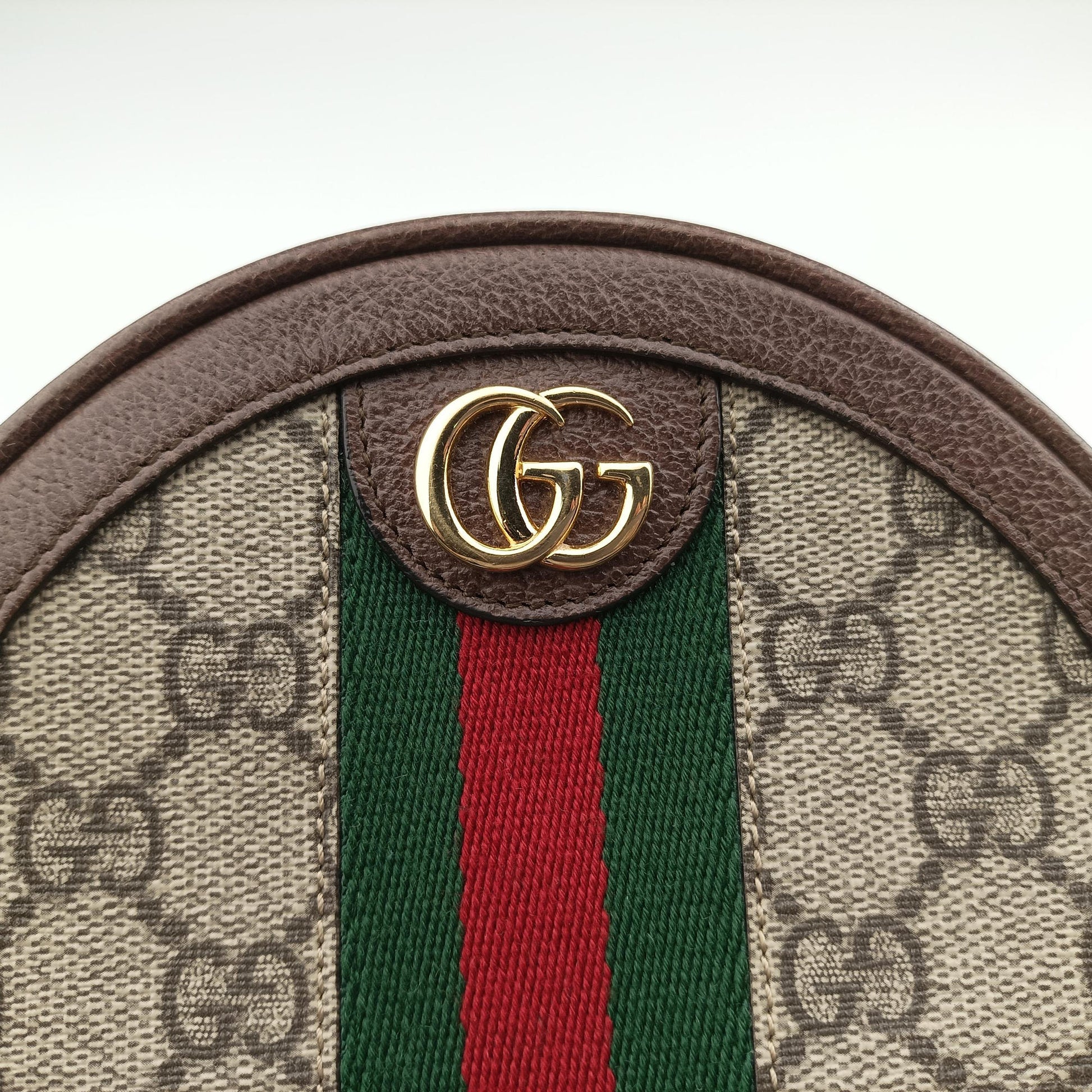 Ophidia Brown×beige×multi PVC coated canvas×Leather 598661 オフィディア ブラウン×ベージュ×マルチ PVCコーティングキャンバス×レザー 598661 