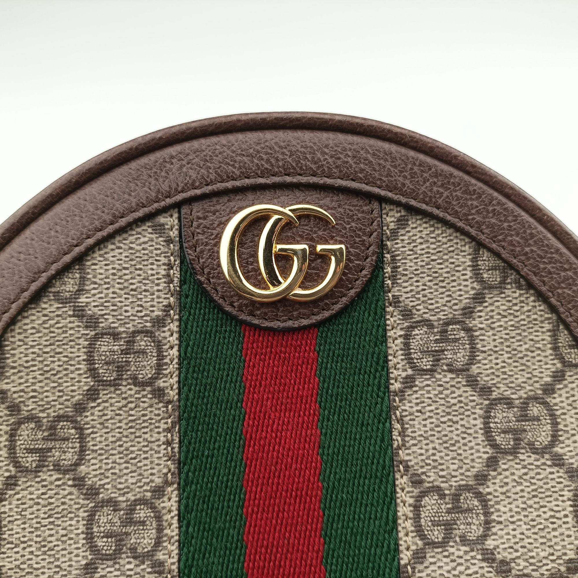 Ophidia Brown×beige×multi PVC coated canvas×Leather 598661 オフィディア ブラウン×ベージュ×マルチ PVCコーティングキャンバス×レザー 598661 
