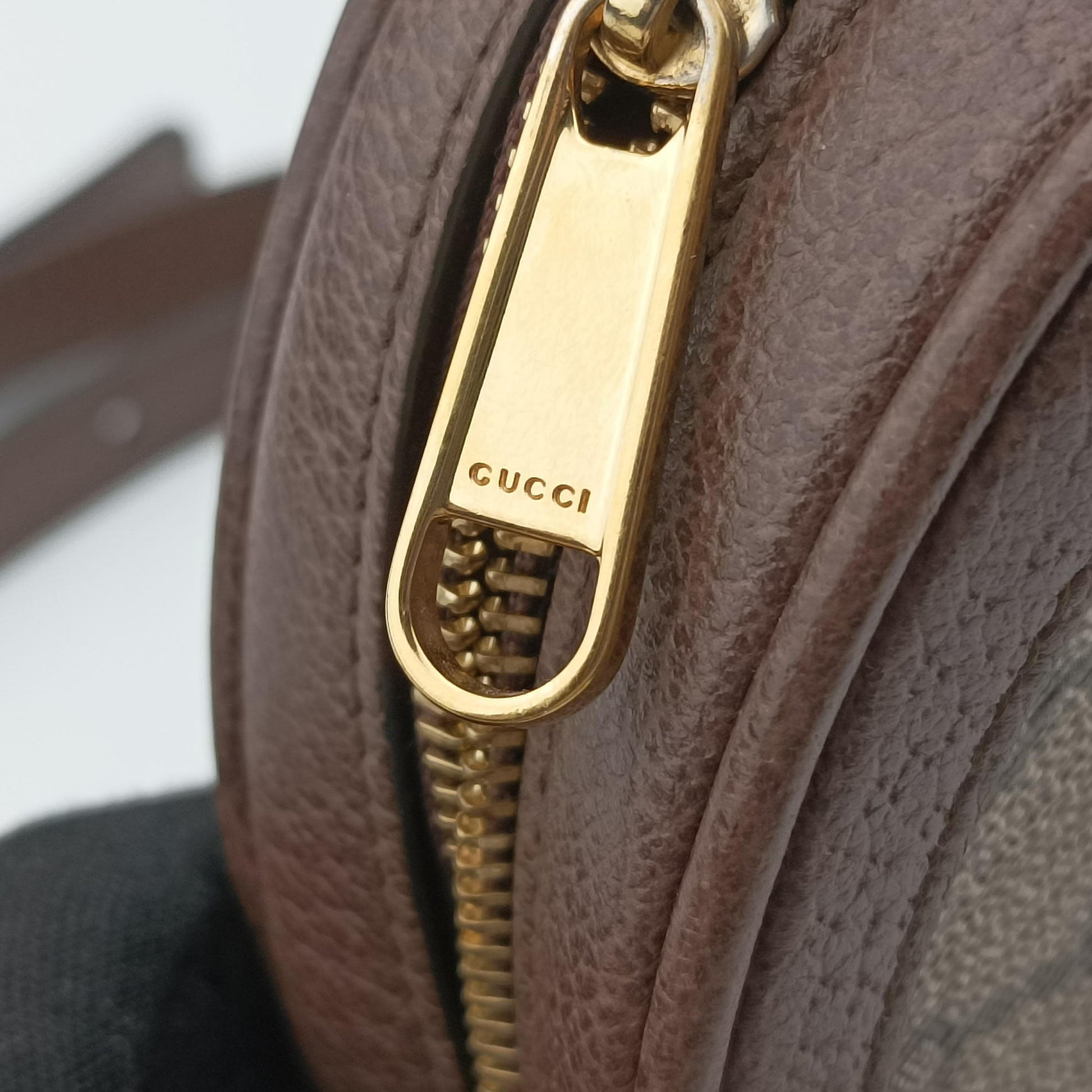 Ophidia Brown×beige×multi PVC coated canvas×Leather 598661 オフィディア ブラウン×ベージュ×マルチ PVCコーティングキャンバス×レザー 598661 