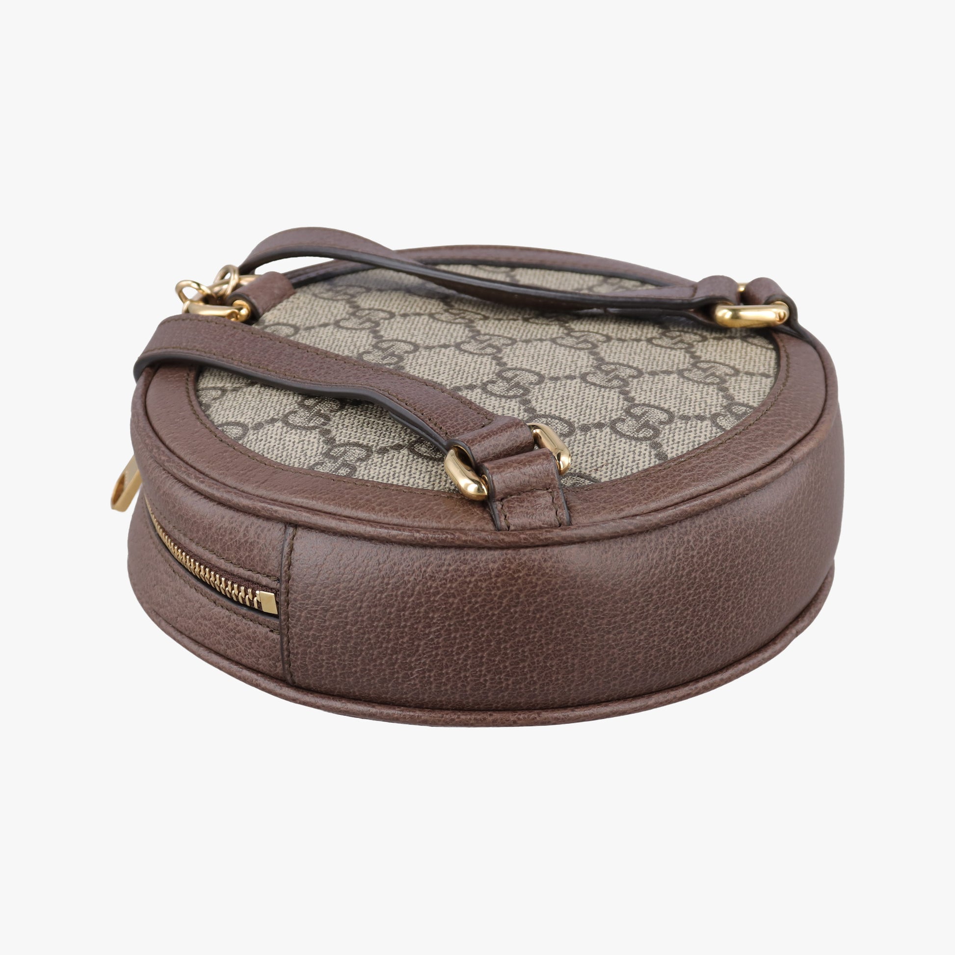 Ophidia Brown×beige×multi PVC coated canvas×Leather 598661 オフィディア ブラウン×ベージュ×マルチ PVCコーティングキャンバス×レザー 598661 