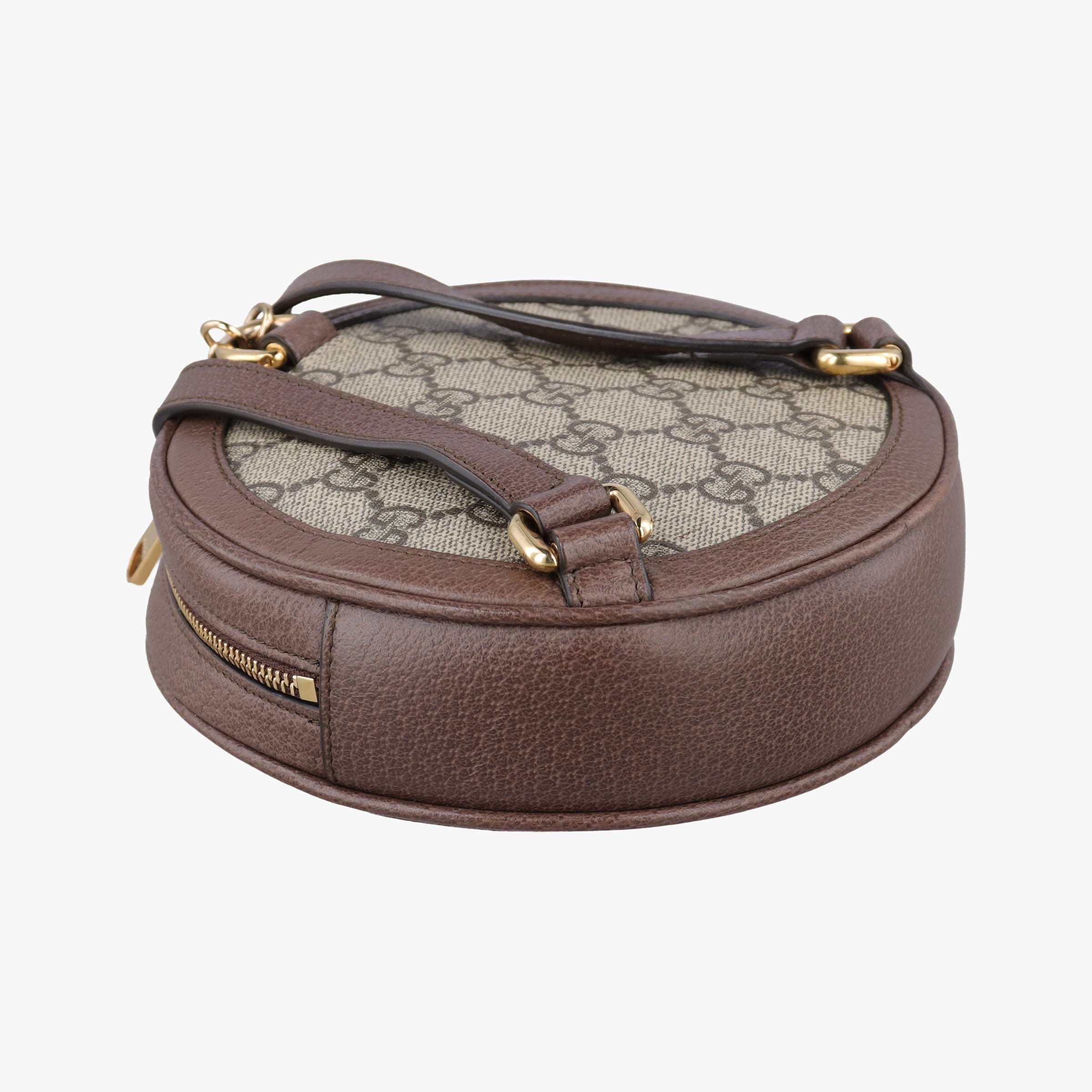 Ophidia Brown×beige×multi PVC coated canvas×Leather 598661 オフィディア ブラウン×ベージュ×マルチ PVCコーティングキャンバス×レザー 598661 