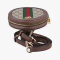 Ophidia Brown×beige×multi PVC coated canvas×Leather 598661 オフィディア ブラウン×ベージュ×マルチ PVCコーティングキャンバス×レザー 598661 