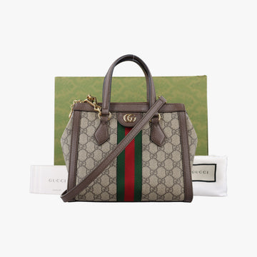 Ophidia brown×red×green PVC coated canvas×Leather 547551 G032457696オフィディア ブラウン×レッド×グリーン PVCコーティングキャンバス×レザー 547551 G032457696
