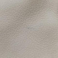 Print White Leather 527792 G030238512グッチプリント ホワイト レザー 527792 G030238512