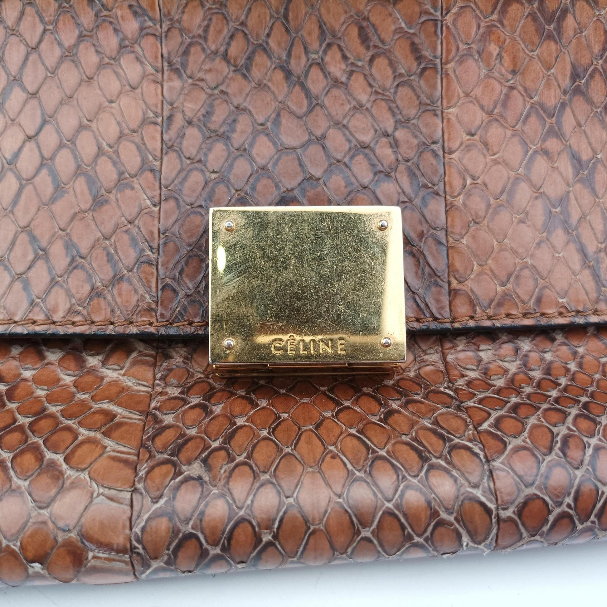 Trapeze Brown × Black Snakeskin × Leather W-GM-0172トラペーズミディアム ブラウン × ブラック スネークスキン × レザー W-GM-0172