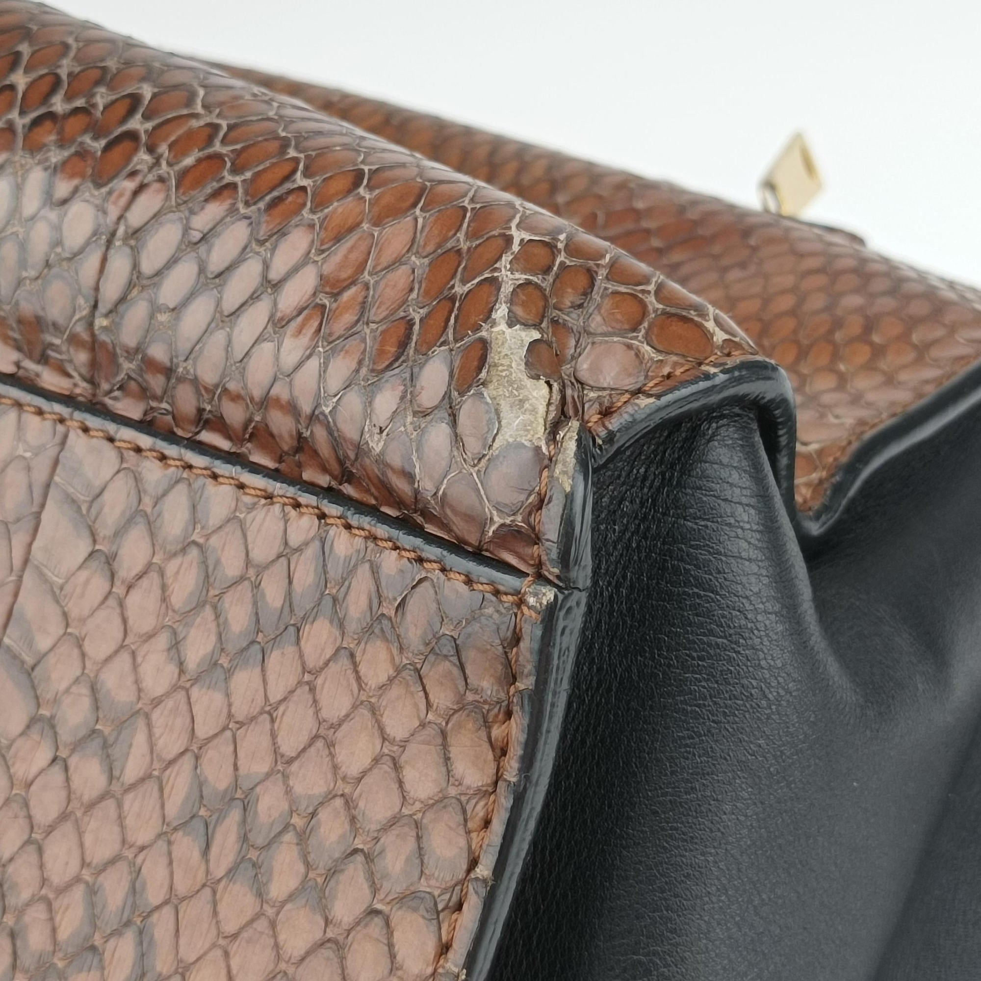 Trapeze Brown × Black Snakeskin × Leather W-GM-0172トラペーズミディアム ブラウン × ブラック スネークスキン × レザー W-GM-0172
