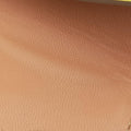 Sac A Dos GR24 Jaune Ambre Evercolor Calfskin A BS 004 ZBサックアド GR24 ジョーヌアンブル ヴォースイフト A BS 004 ZB