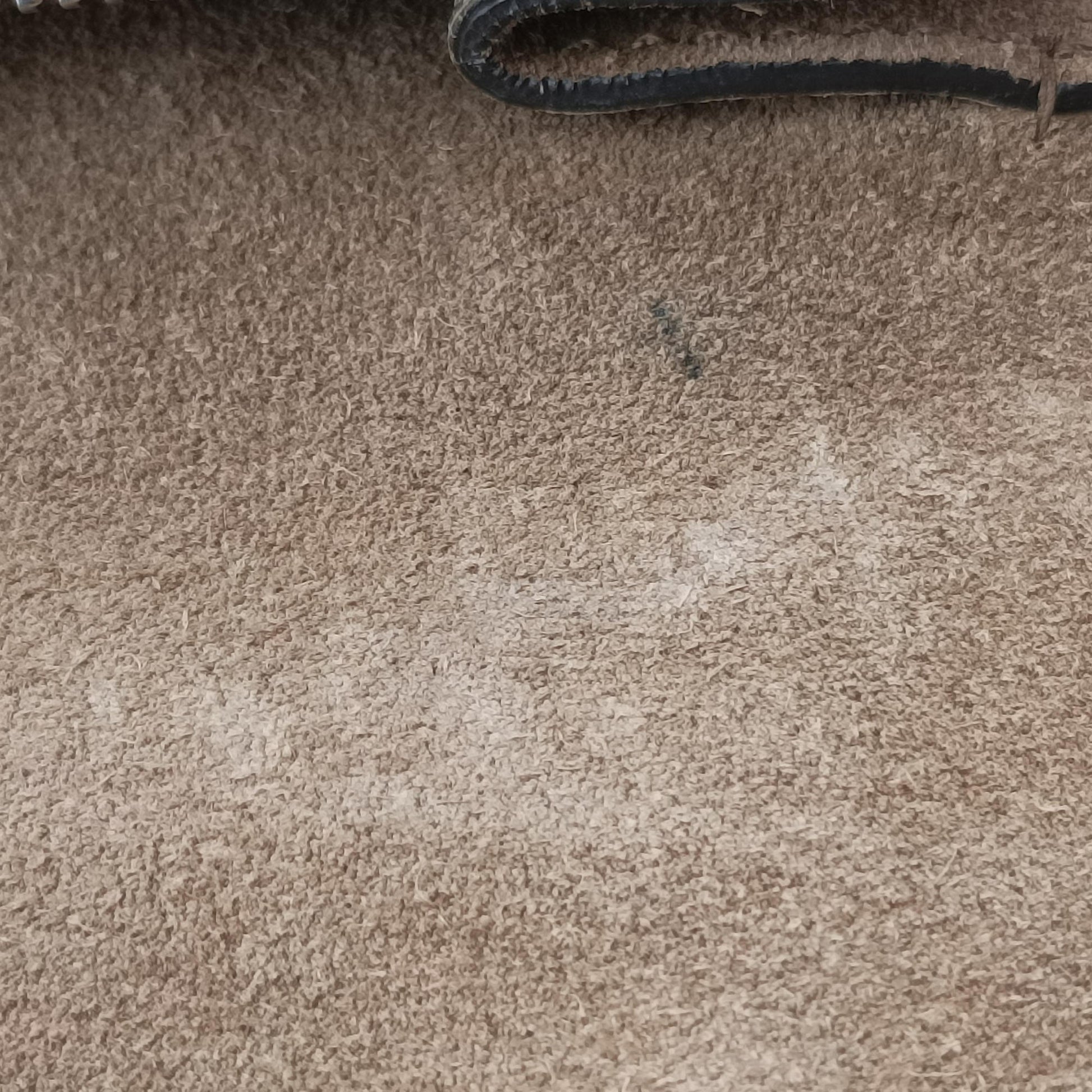 Dionysus Brown PVC coated canvas 400249 A027602214ディオニュソス ブラウン PVCコーティングキャンバス 400249 A027602214
