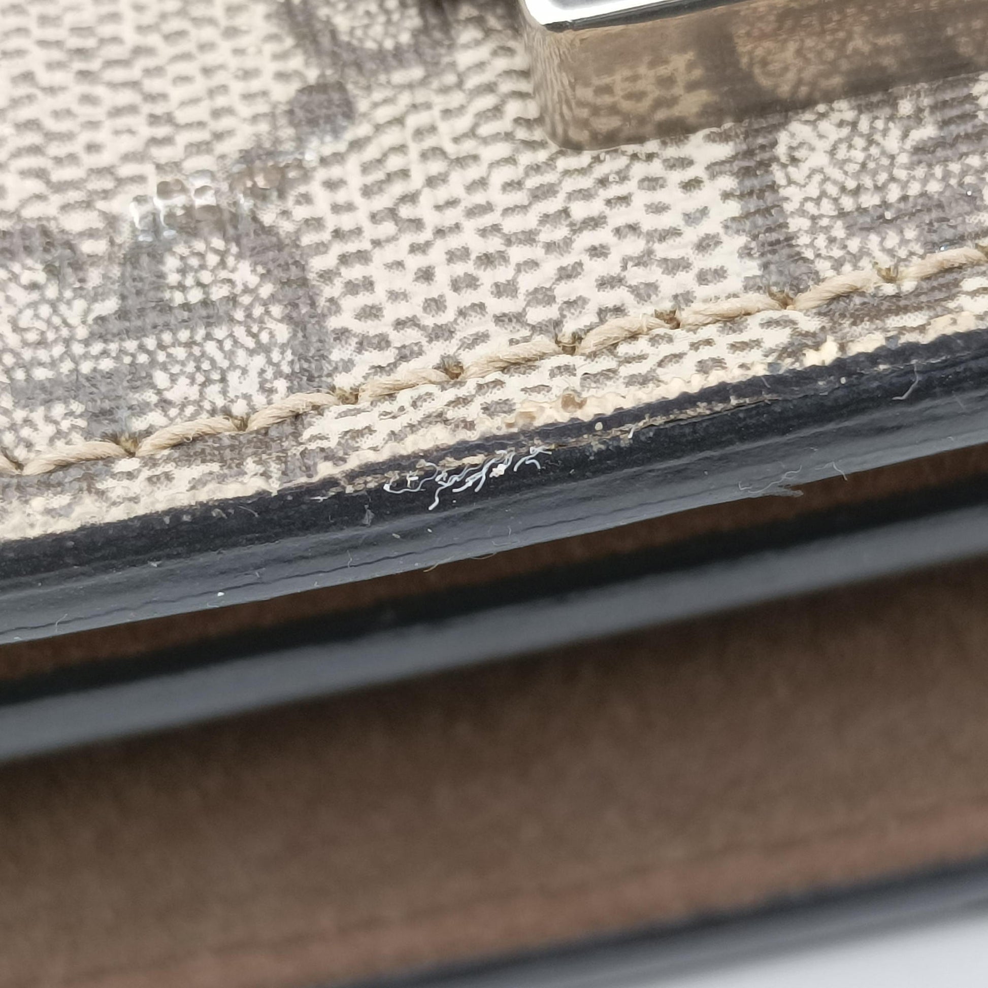 Dionysus Brown PVC coated canvas 400249 A027602214ディオニュソス ブラウン PVCコーティングキャンバス 400249 A027602214