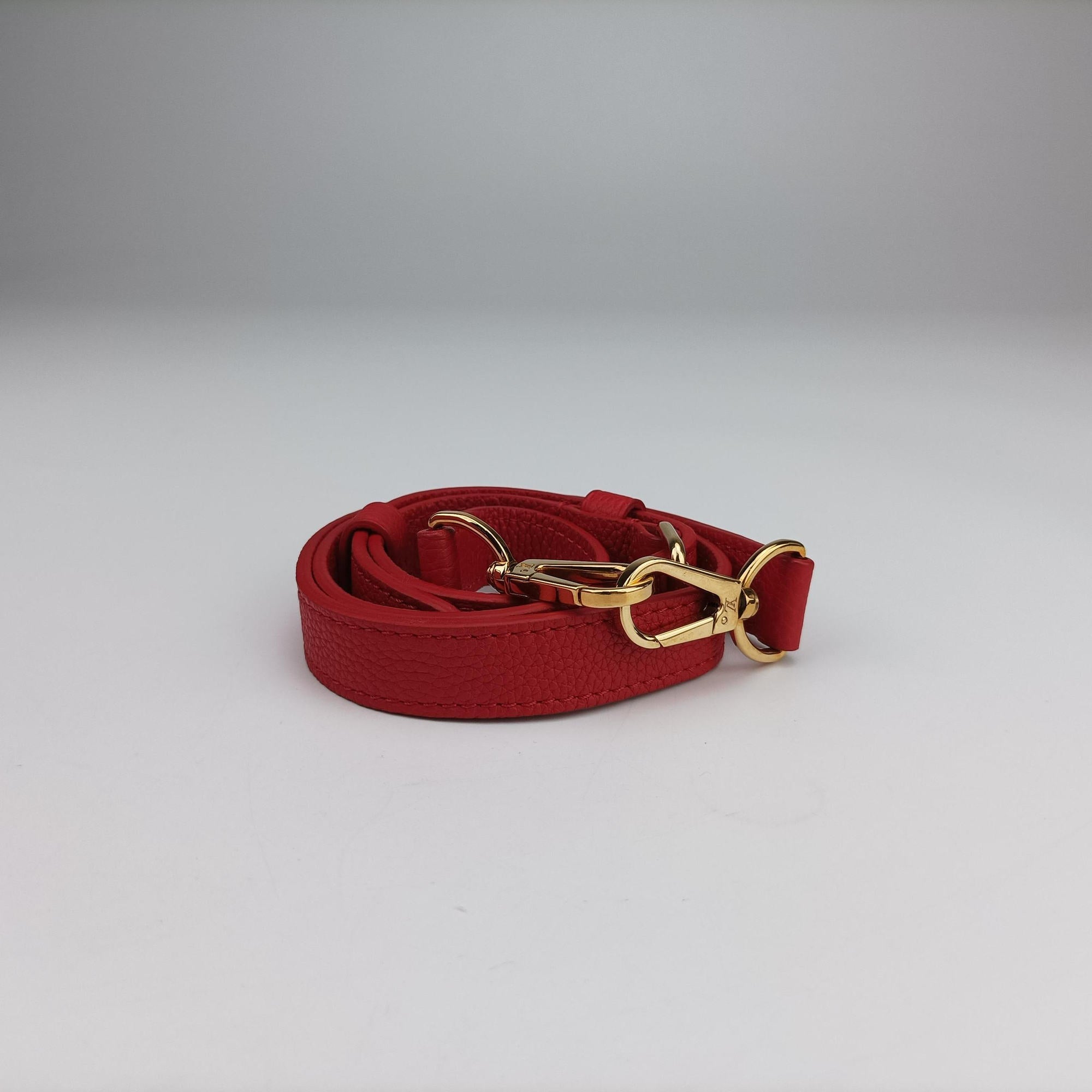 DOUBLE V ruby Monogram Canvas ácalf leather M54624 TR3177ドゥブルV ルビー モノグラムキャンバス×カーフレザー M54624 TR3177