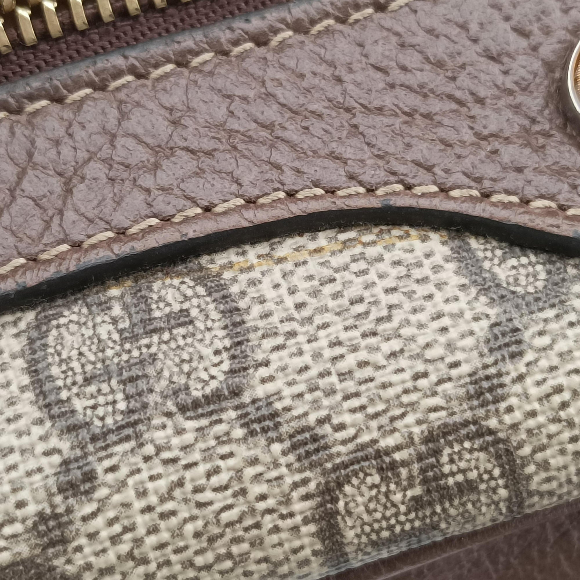 OPHIDIA Brown×red×green PVC coated canvas×leather 517350 オフィディア ブラウン×レッド×グリーン PVCコーティングキャンバス×レザー 517350 