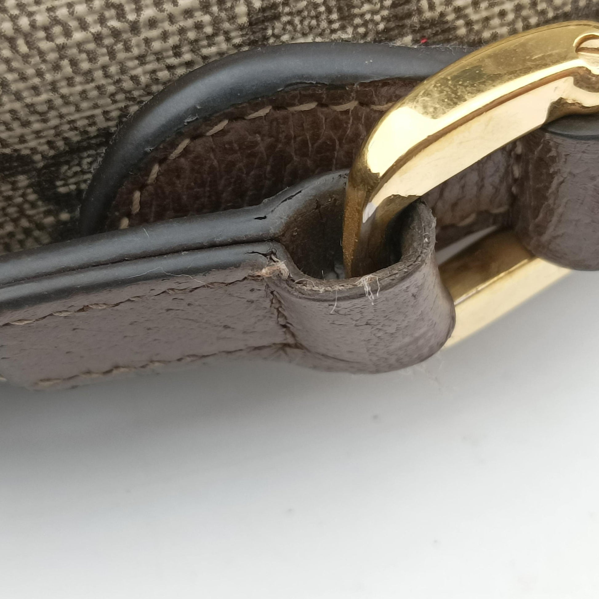 OPHIDIA Brown×red×green PVC coated canvas×leather 517350 オフィディア ブラウン×レッド×グリーン PVCコーティングキャンバス×レザー 517350 