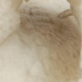 Chanel 19 Ivory Shearling × Lambskin シャネル 19 ディズヌフ アイボリー シアリング×ラムスキン 