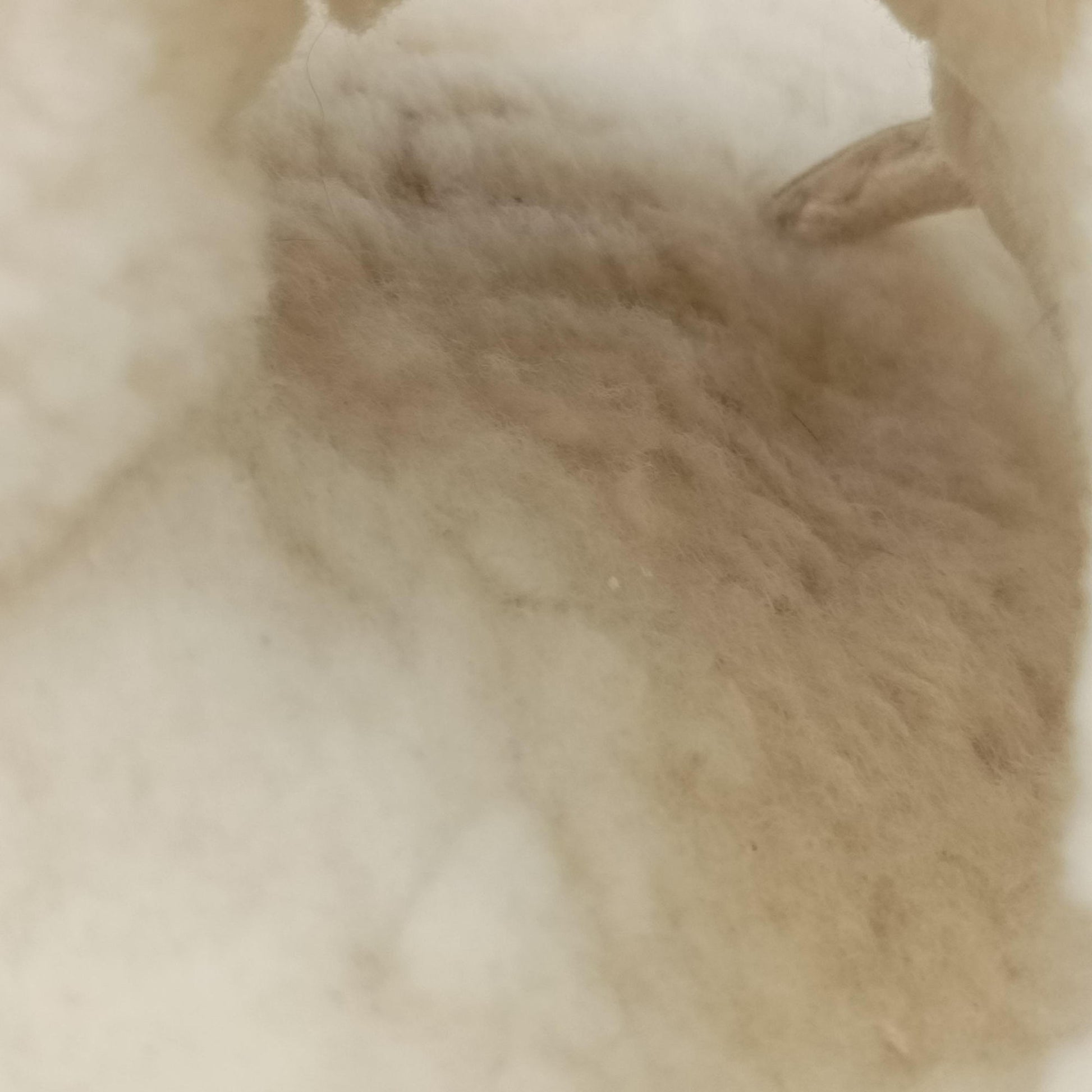 Chanel 19 Ivory Shearling × Lambskin シャネル 19 ディズヌフ アイボリー シアリング×ラムスキン 