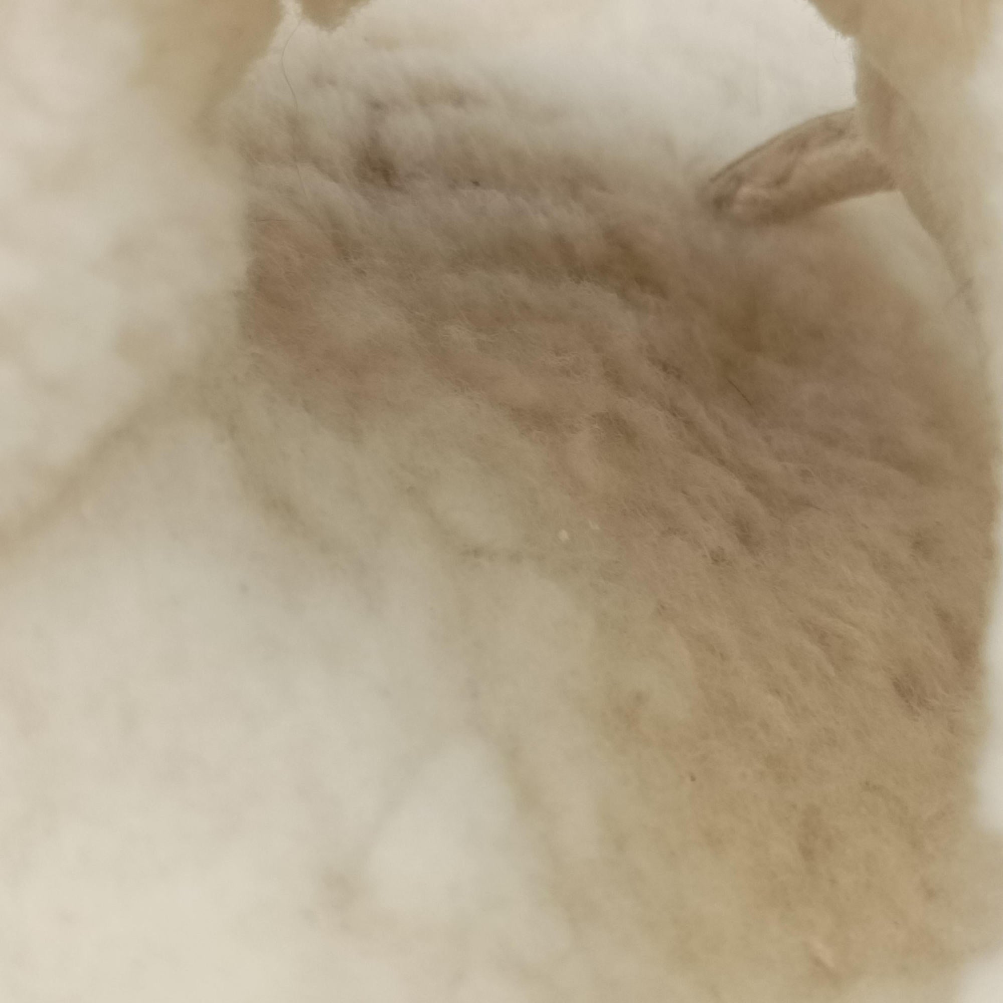 Chanel 19 Ivory Shearling × Lambskin シャネル 19 ディズヌフ アイボリー シアリング×ラムスキン 