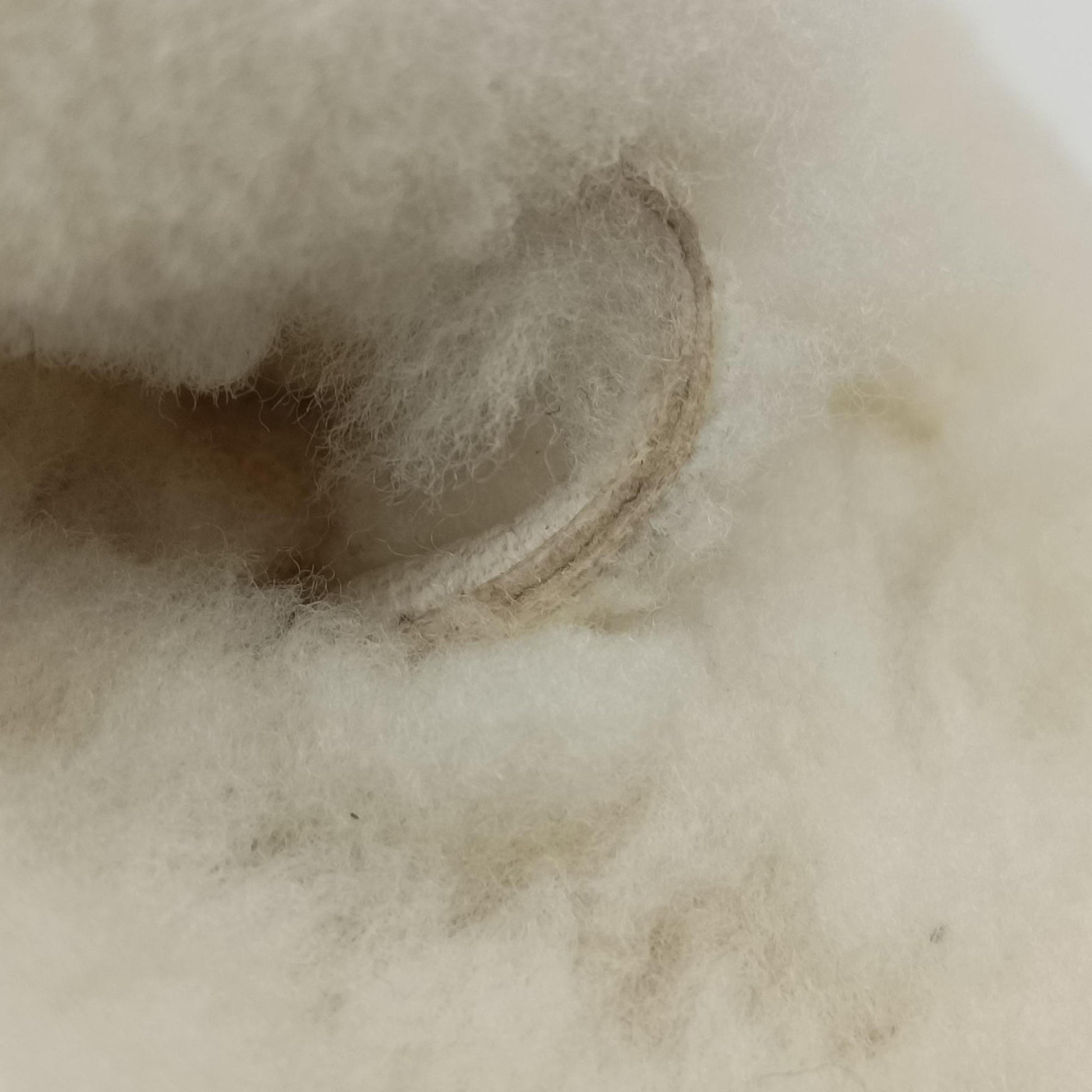 Chanel 19 Ivory Shearling × Lambskin シャネル 19 ディズヌフ アイボリー シアリング×ラムスキン 