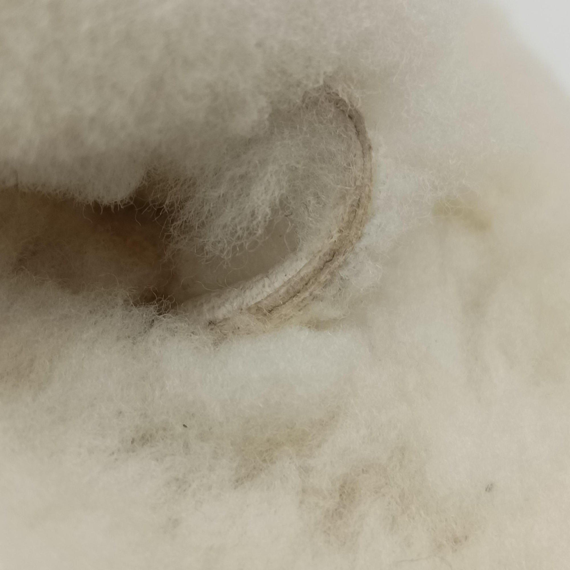Chanel 19 Ivory Shearling × Lambskin シャネル 19 ディズヌフ アイボリー シアリング×ラムスキン 