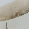 Chanel 19 Ivory Shearling × Lambskin シャネル 19 ディズヌフ アイボリー シアリング×ラムスキン 