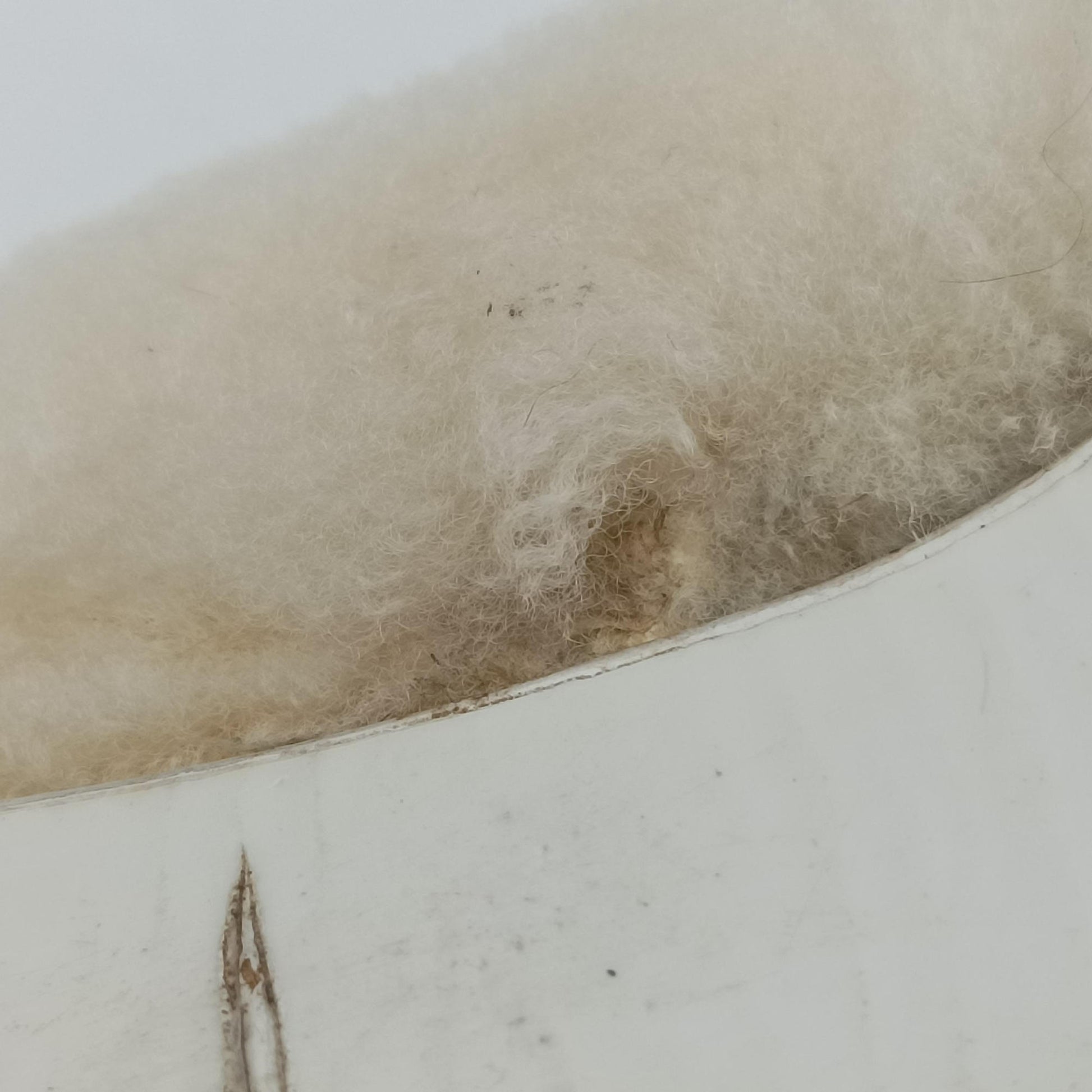 Chanel 19 Ivory Shearling × Lambskin シャネル 19 ディズヌフ アイボリー シアリング×ラムスキン 