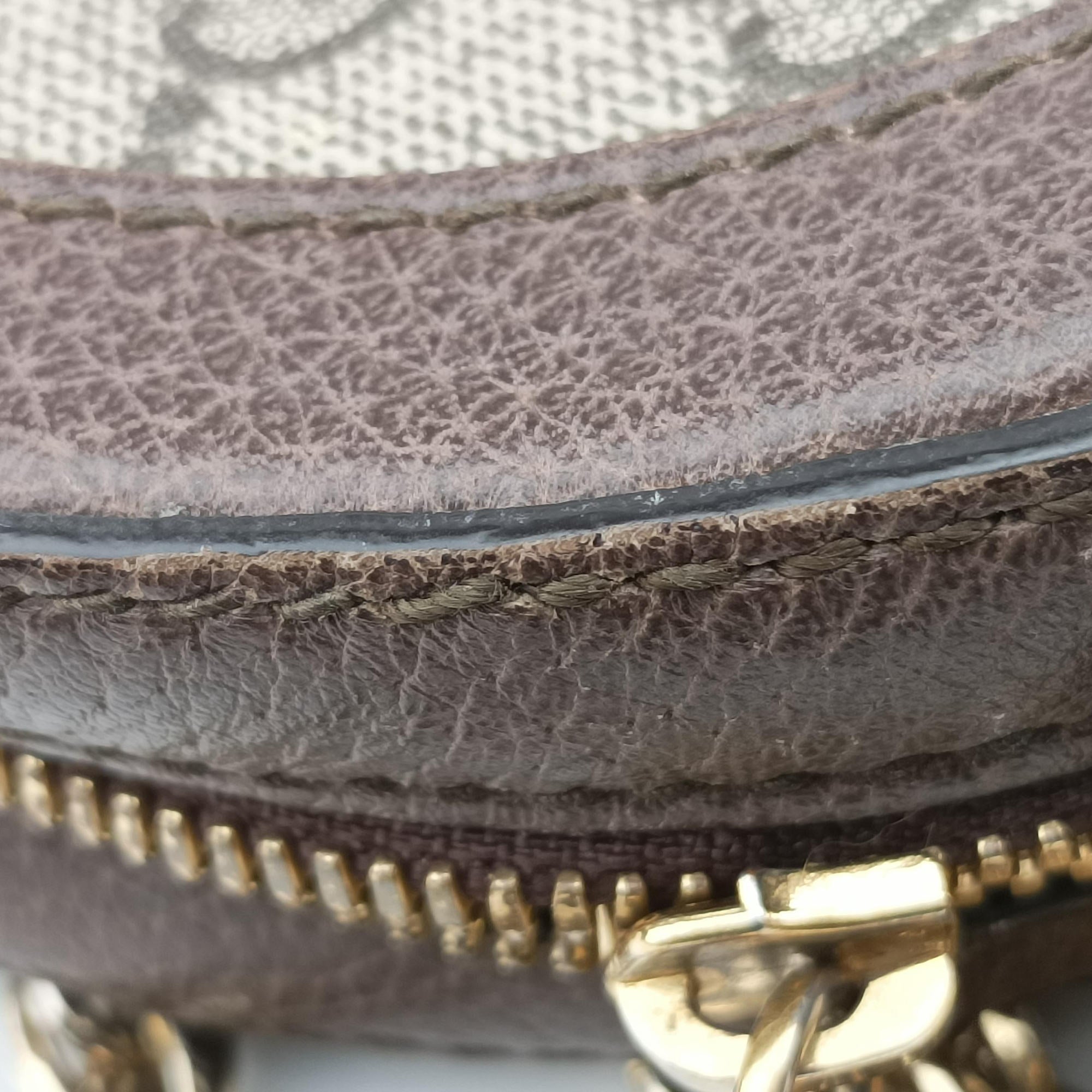 Ophidia Brown×beige×multi PVC coated canvas×Leather 550618 G027361331オフィディア ブラウン×ベージュ×マルチ PVCコーティングキャンバス×レザー 550618 G027361331