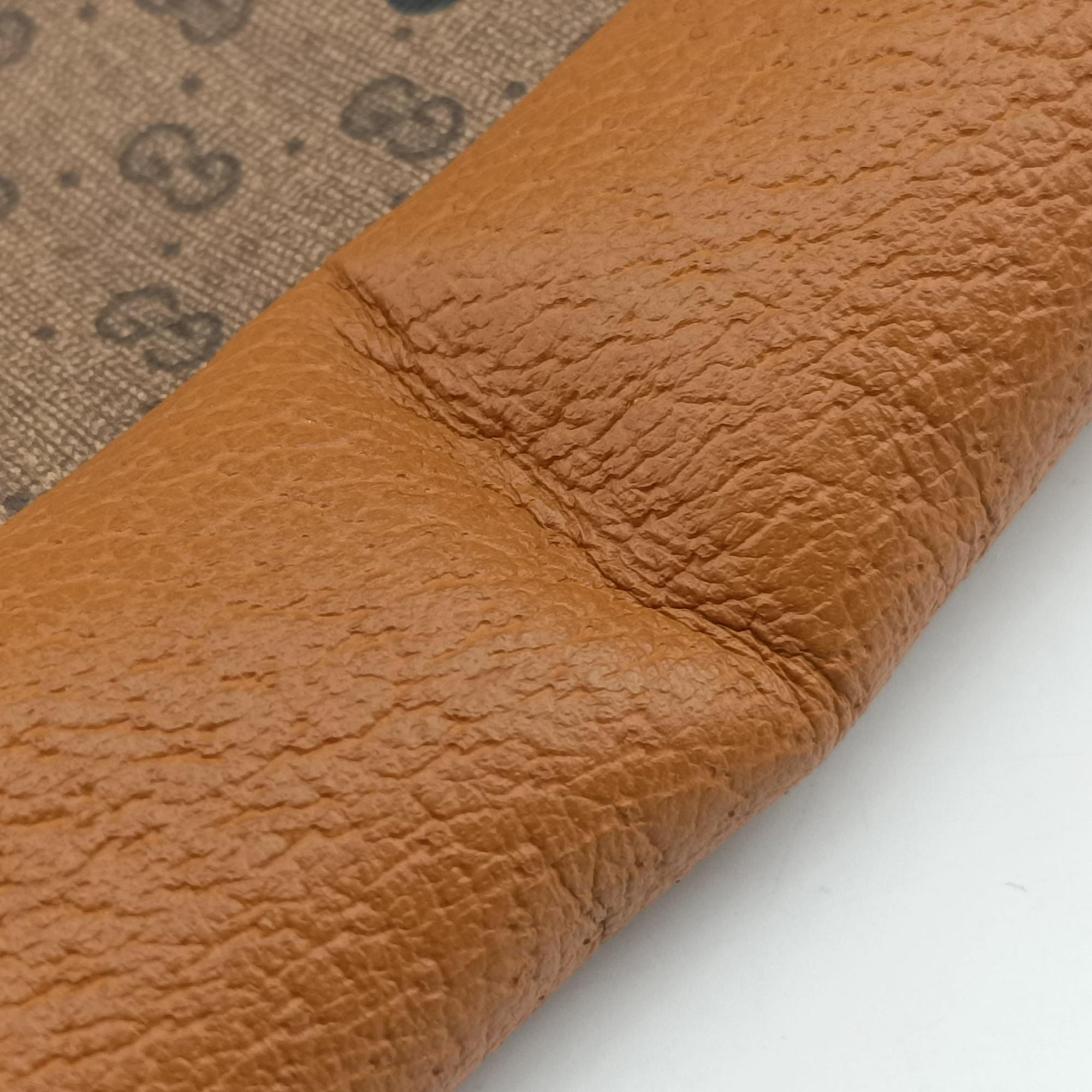 Ophidia Multicolour PVC coated canvas×Leather 603937 E030849464オフィディア マルチカラー PVCコーティングキャンバス×レザー 603937 E030849464