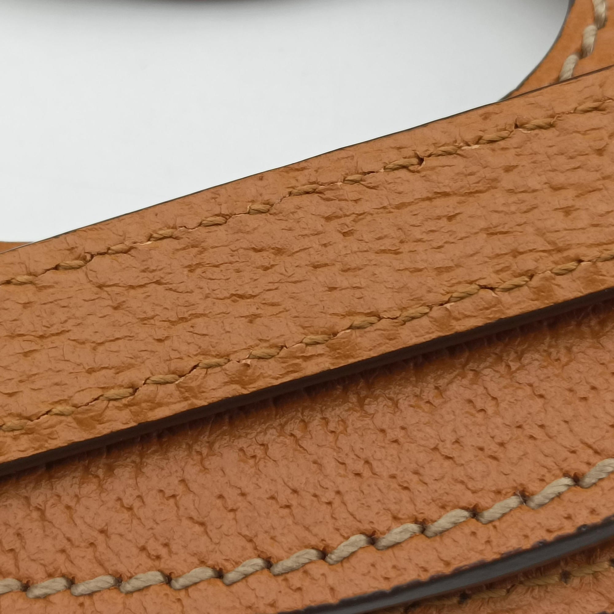 Ophidia Multicolour PVC coated canvas×Leather 603937 E030849464オフィディア マルチカラー PVCコーティングキャンバス×レザー 603937 E030849464