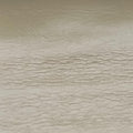 COLLEGE Green Leather 428056 PMR428056.0117カレッジ グリーン レザー 428056 PMR428056.0117