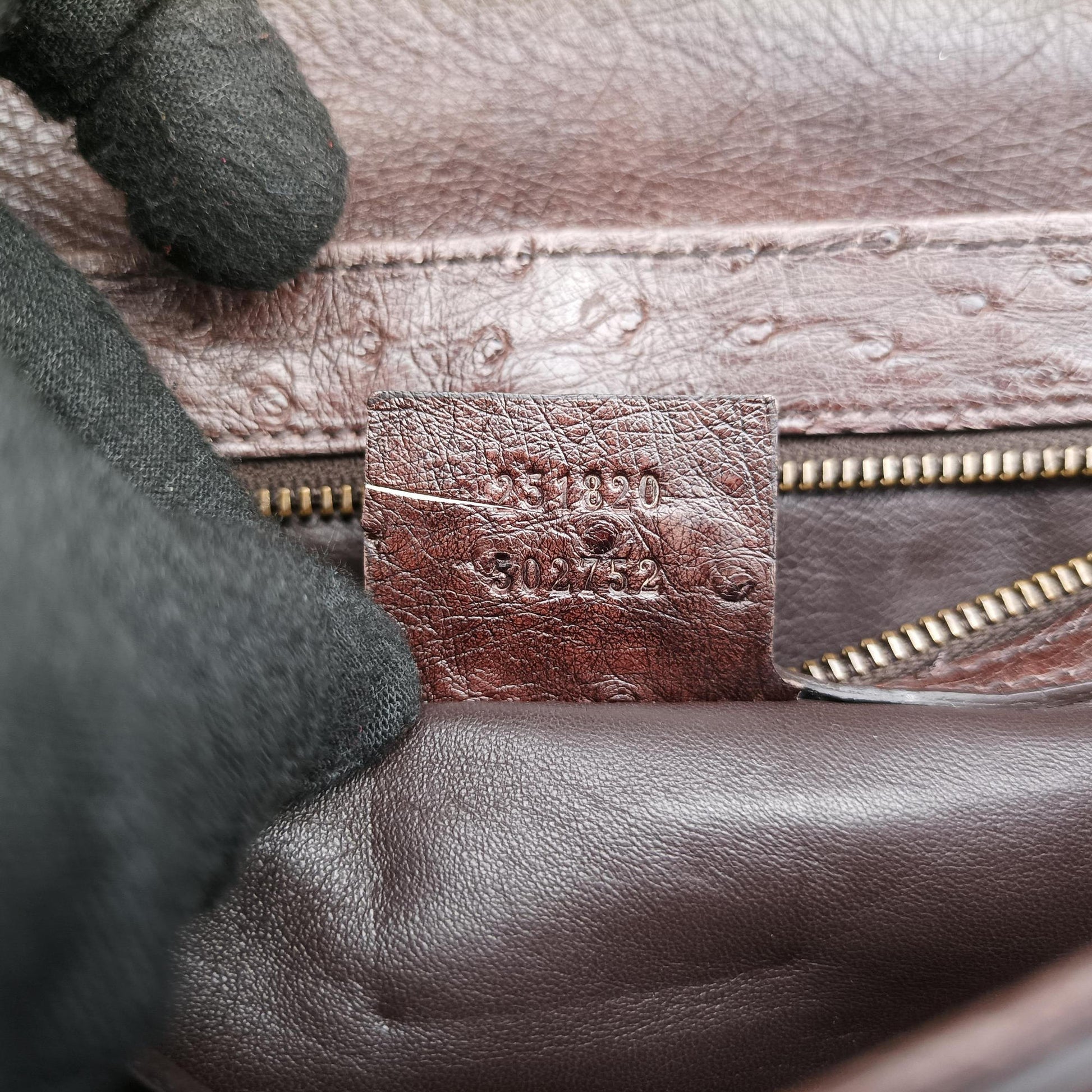 1973 Double G Brown Ostrich Leather 251820 C99565351973 ダブルG ブラウン オーストリッチ 251820 C9956535