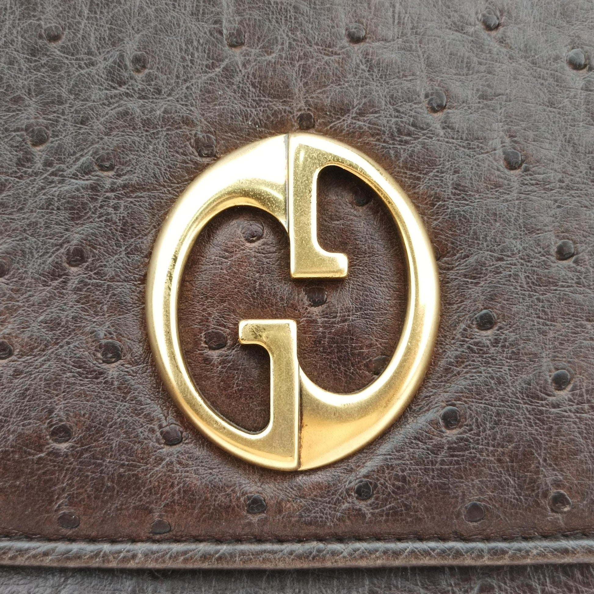 1973 Double G Brown Ostrich Leather 251820 C99565351973 ダブルG ブラウン オーストリッチ 251820 C9956535
