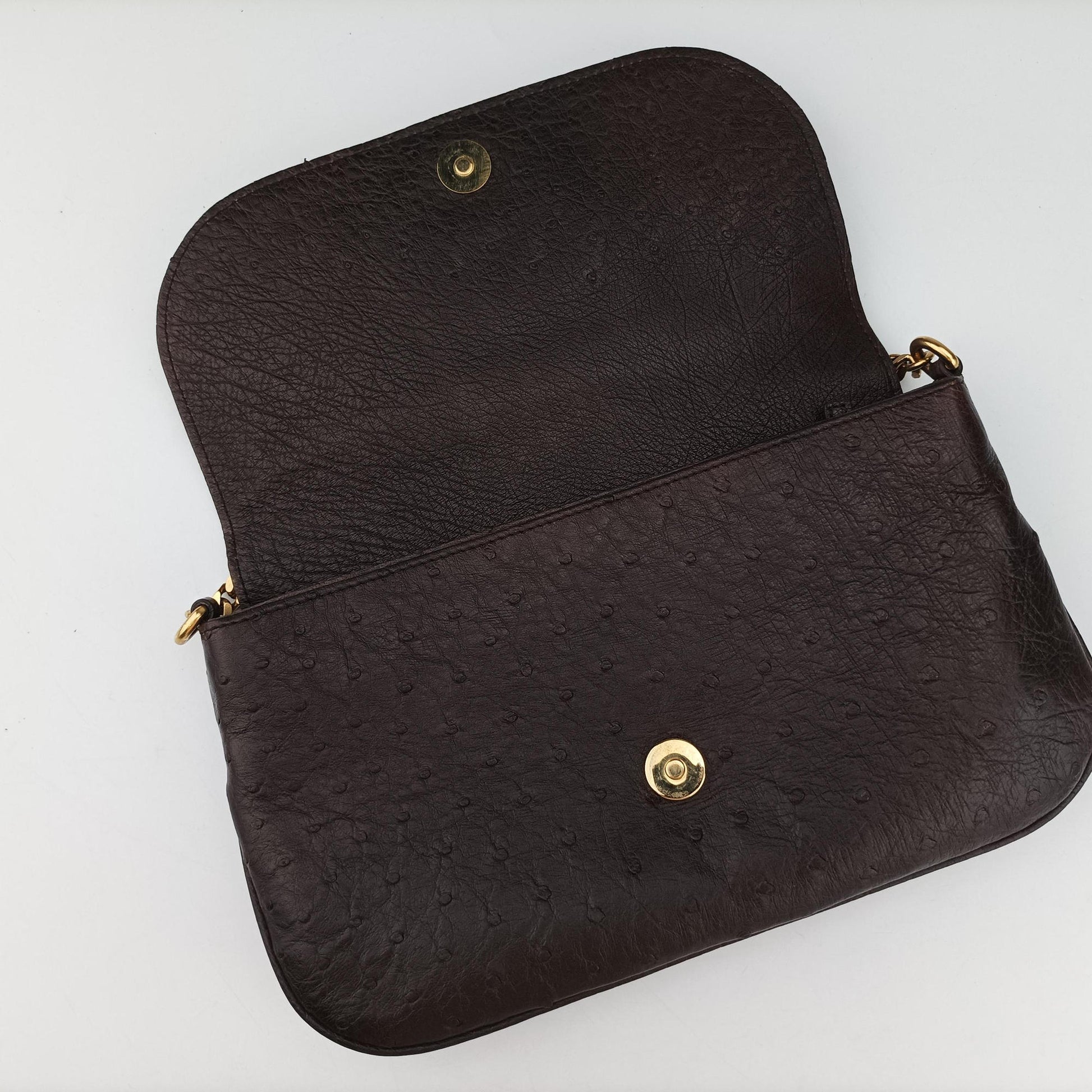 1973 Double G Brown Ostrich Leather 251820 C99565351973 ダブルG ブラウン オーストリッチ 251820 C9956535