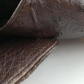 1973 Double G Brown Ostrich Leather 251820 C99565351973 ダブルG ブラウン オーストリッチ 251820 C9956535