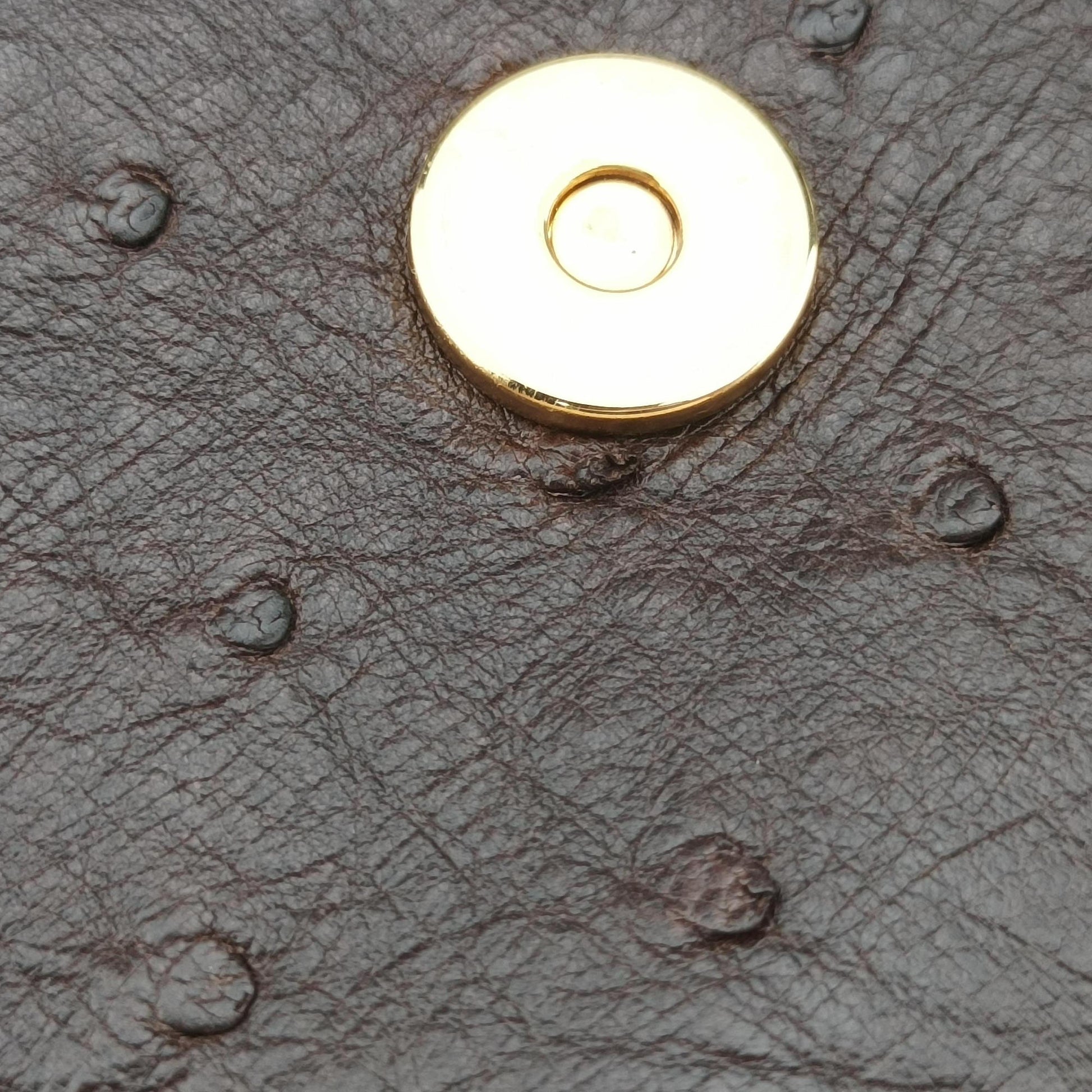 1973 Double G Brown Ostrich Leather 251820 C99565351973 ダブルG ブラウン オーストリッチ 251820 C9956535