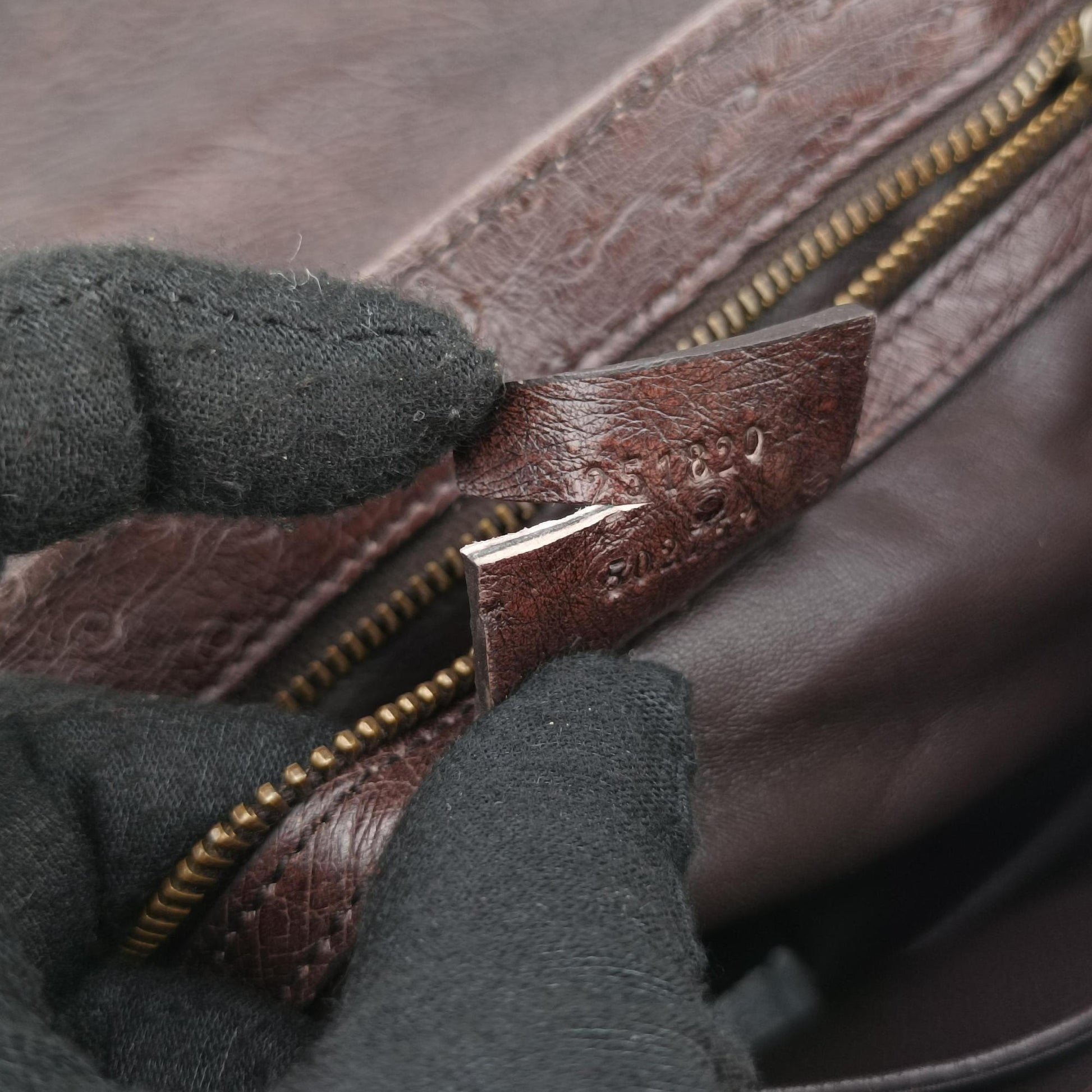 1973 Double G Brown Ostrich Leather 251820 C99565351973 ダブルG ブラウン オーストリッチ 251820 C9956535