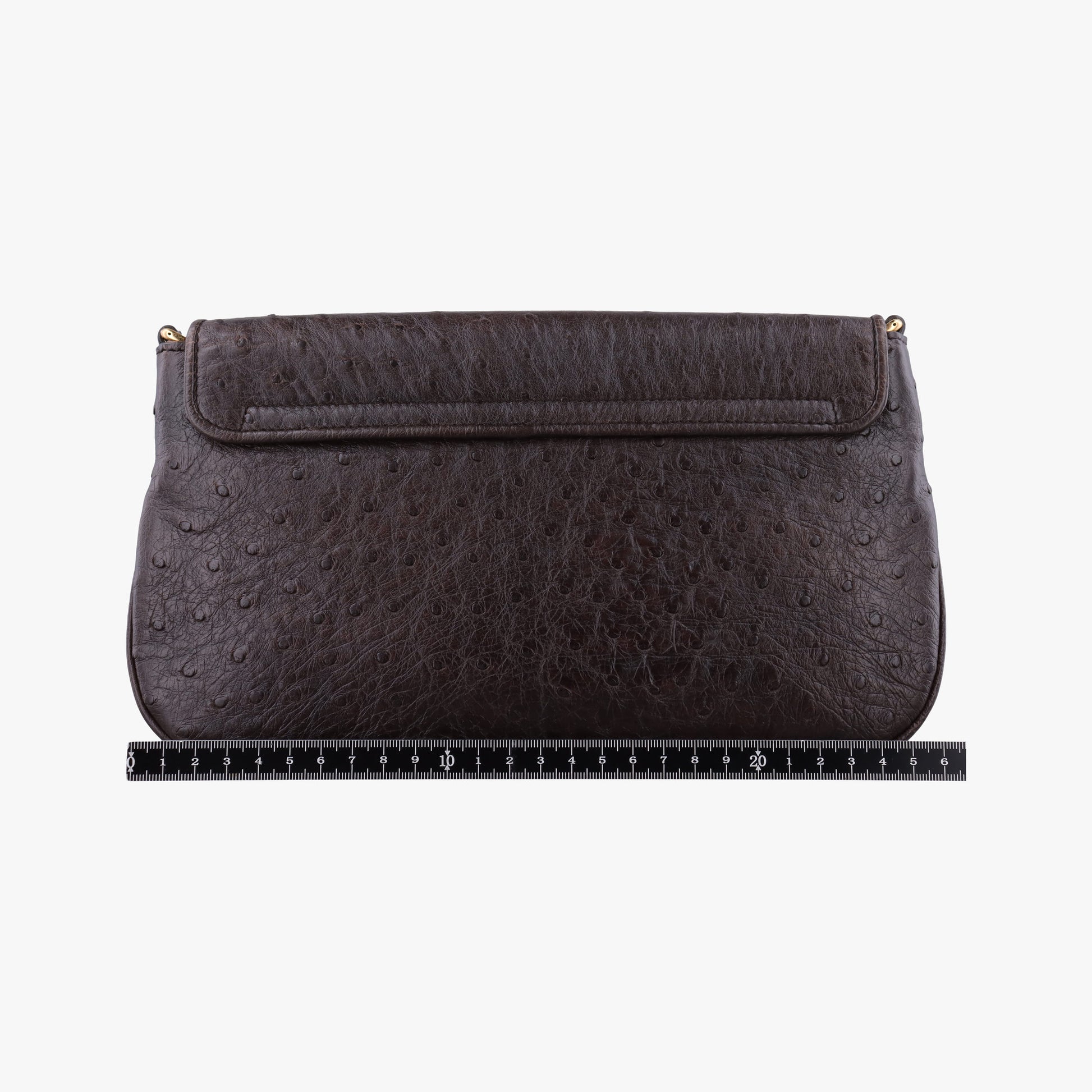 1973 Double G Brown Ostrich Leather 251820 C99565351973 ダブルG ブラウン オーストリッチ 251820 C9956535