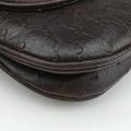 1973 Double G Brown Ostrich Leather 251820 C99565351973 ダブルG ブラウン オーストリッチ 251820 C9956535