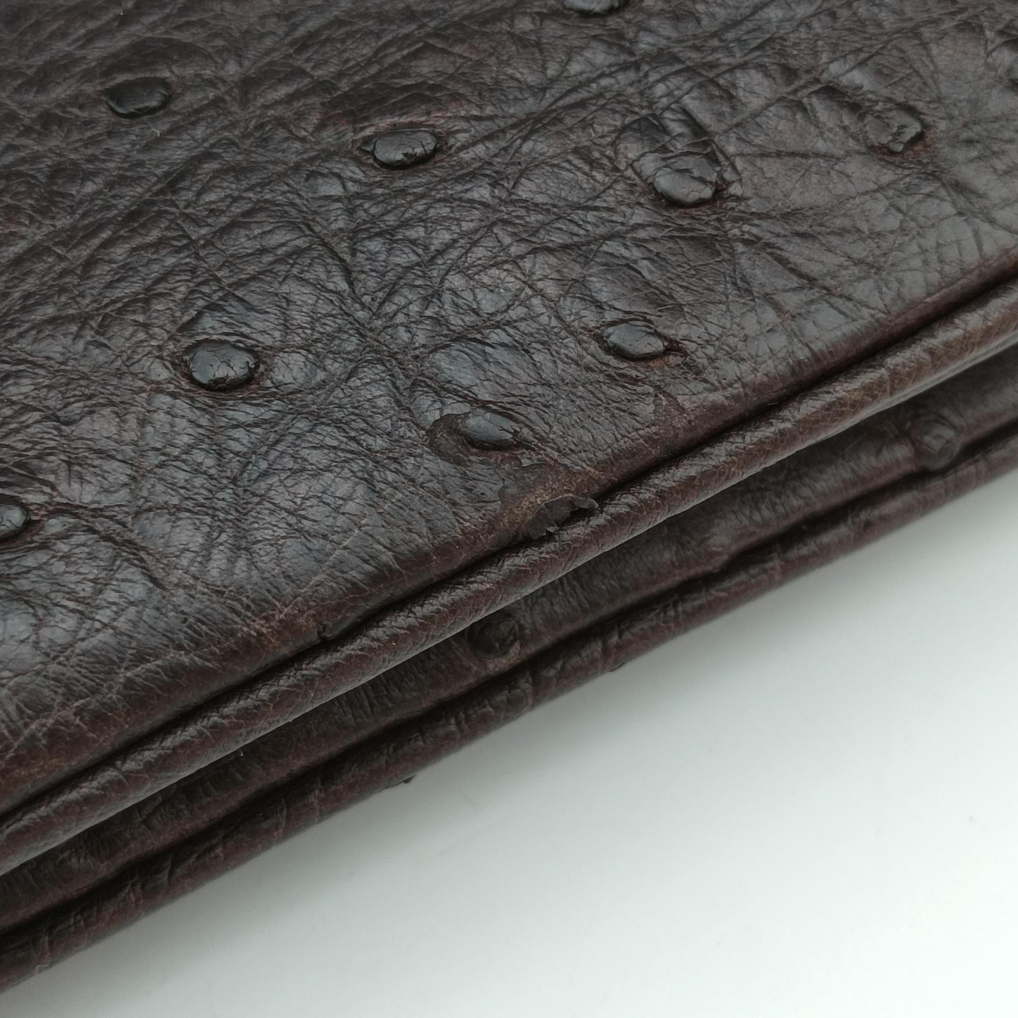 1973 Double G Brown Ostrich Leather 251820 C99565351973 ダブルG ブラウン オーストリッチ 251820 C9956535