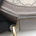 Ophidia Brown×beige×multi PVC coated canvas×Leather 550618 G028536061オフィディア ブラウン×ベージュ×マルチ PVCコーティングキャンバス×レザー 550618 G028536061