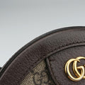 Ophidia Brown×beige×multi PVC coated canvas×Leather 550618 G028536061オフィディア ブラウン×ベージュ×マルチ PVCコーティングキャンバス×レザー 550618 G028536061