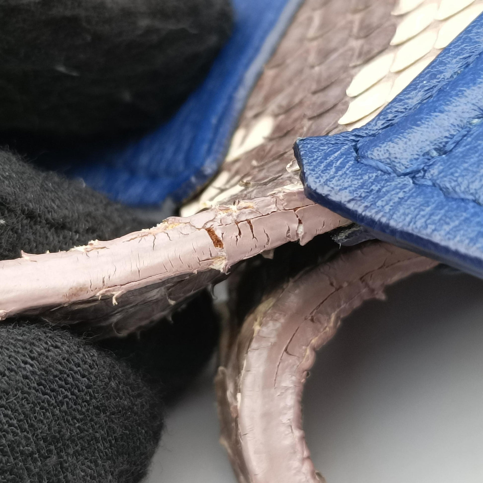 Addict Blue Leather 19-MA-1103アディクト ブルー レザー 19-MA-1103