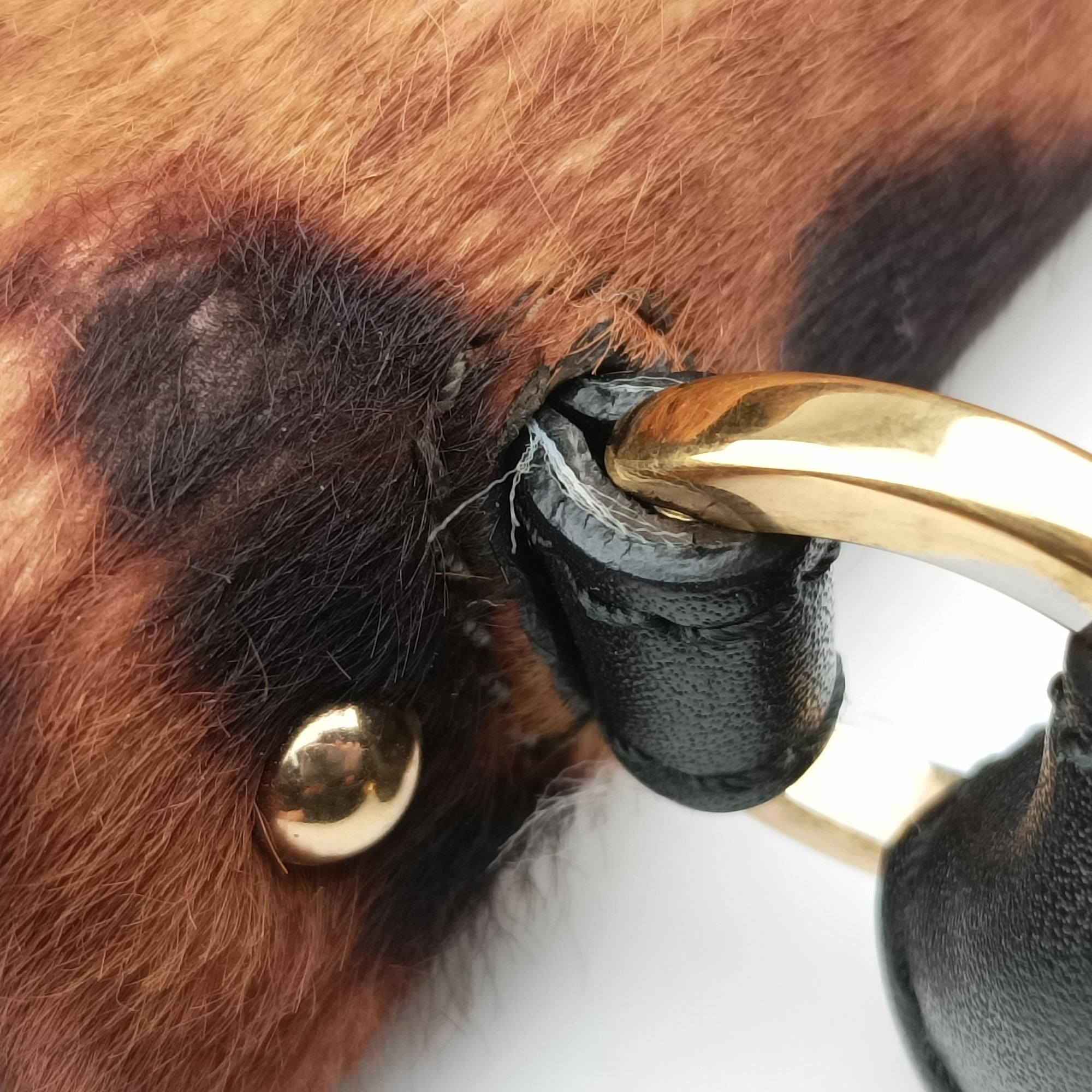 Sofia Gancini Leopard Print × Black ponyhair×leather FZ-21 A871ソフィア ガンチーニ レオパード × ブラック ハラコ×レザー FZ-21 A871