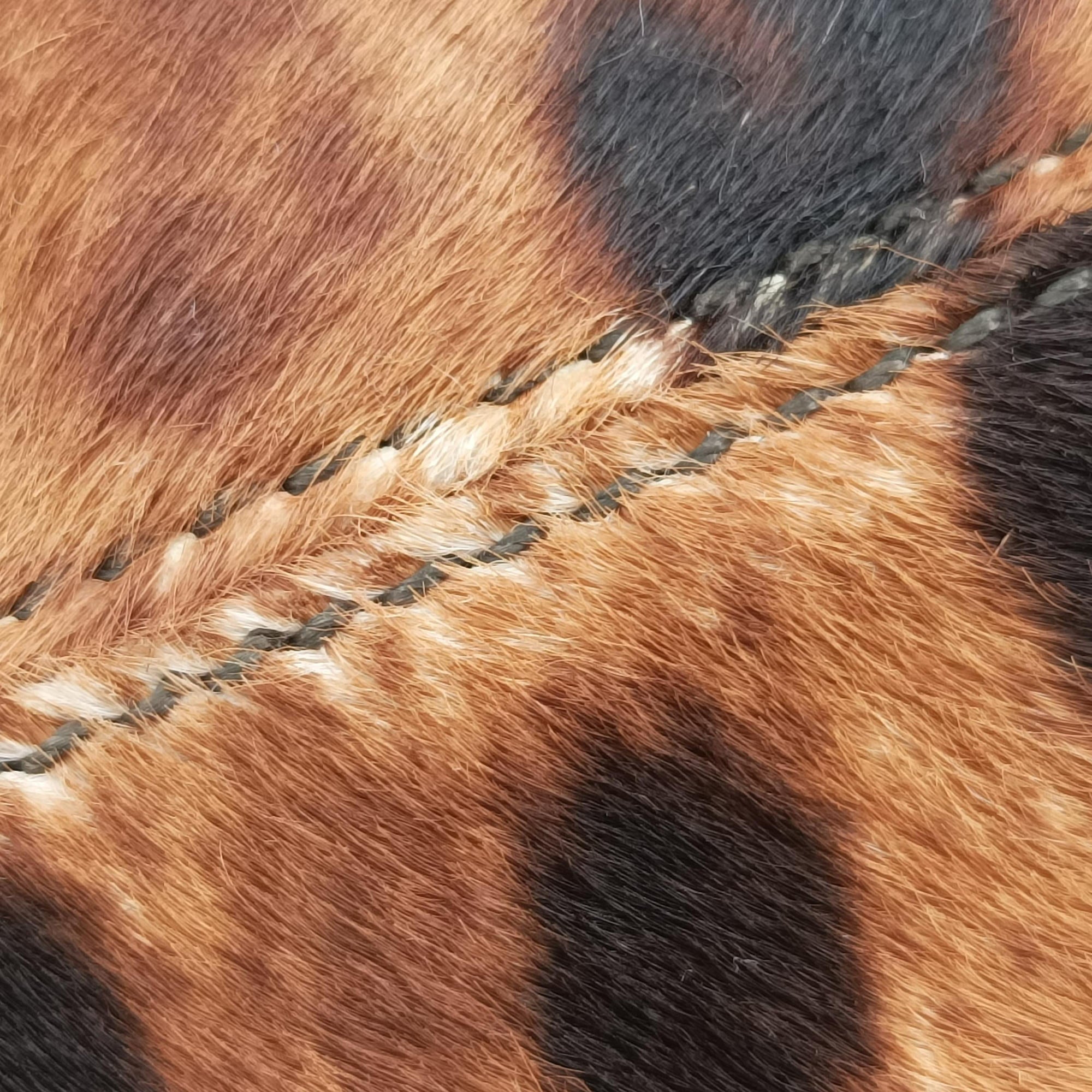 Sofia Gancini Leopard Print × Black ponyhair×leather FZ-21 A871ソフィア ガンチーニ レオパード × ブラック ハラコ×レザー FZ-21 A871