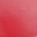 Lady Web Red Leather 380573 F019249021レディ ウェブ レッド レザー 380573 F019249021
