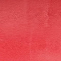 Emily Red Leather 295402 I012357694エミリー レッド レザー 295402 I012357694